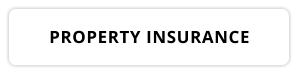 PROPERTY INSURANCE