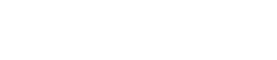 NETWORK SERVICES