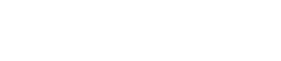 NETWORK SERVICES