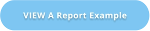VIEW A Report Example