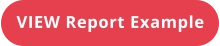 VIEW Report Example
