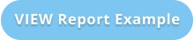 VIEW Report Example