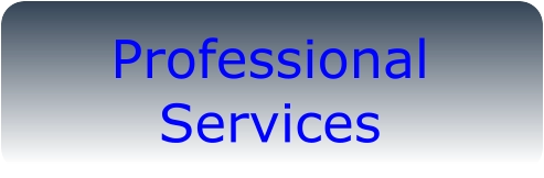 Professional Services