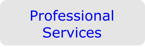 Professional Services