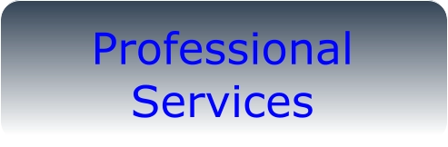 Professional Services