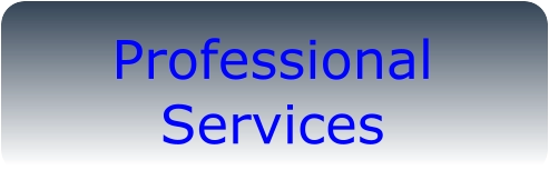 Professional Services