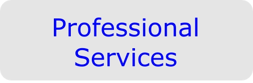 Professional Services