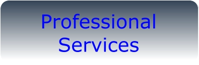 Professional Services